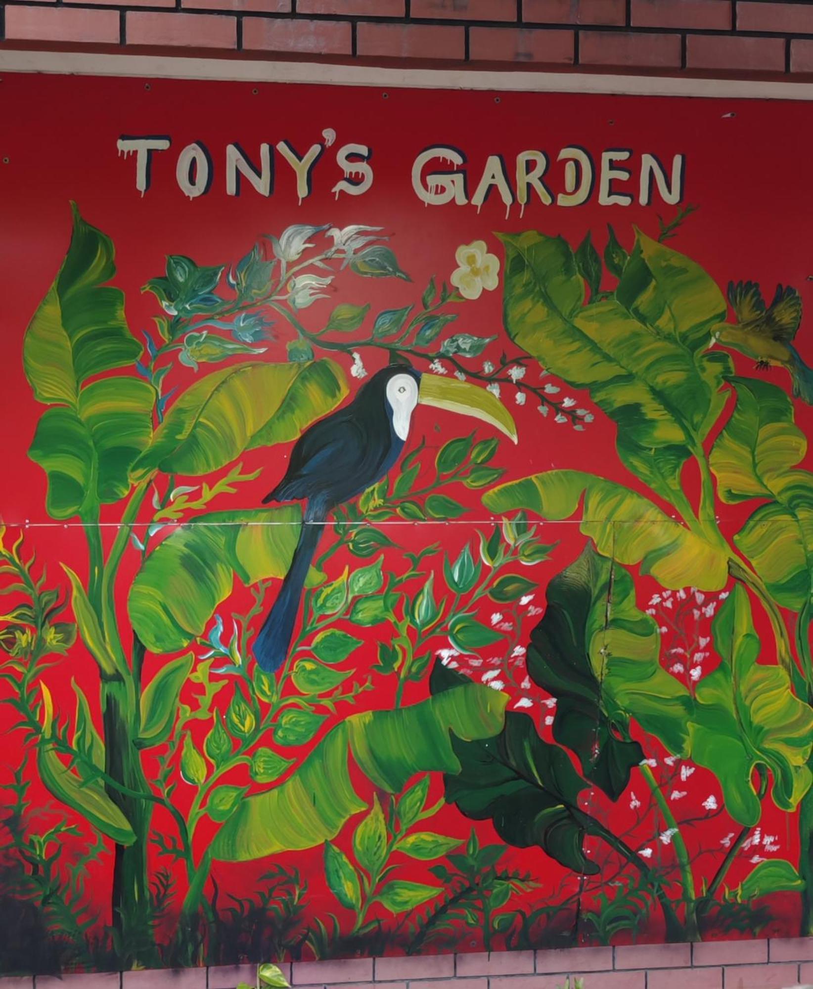 Tony'S Garden House Back Packers Inn Jaffna Kültér fotó
